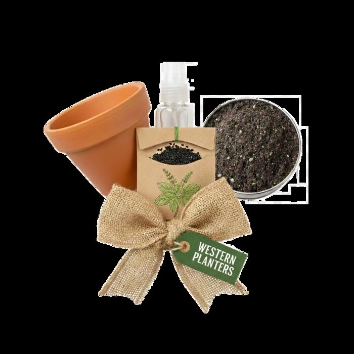 Basil plant kit