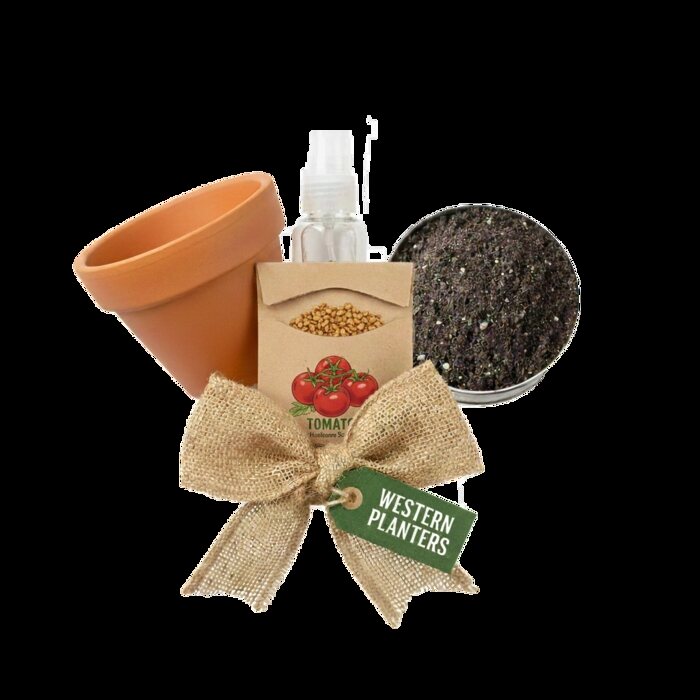 Tomato plant kit